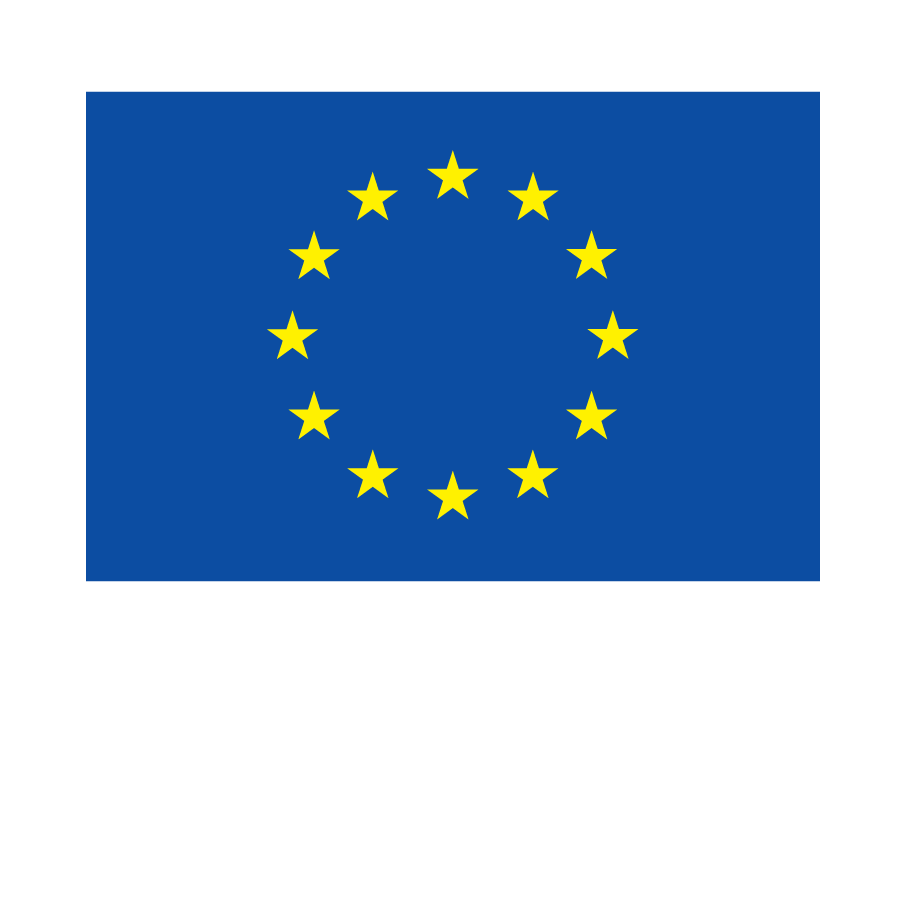 European Union Logo